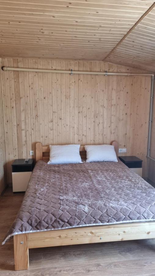 Villa Paraiso Karpaty Tesnitska Kültér fotó